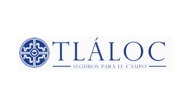 ana seguros